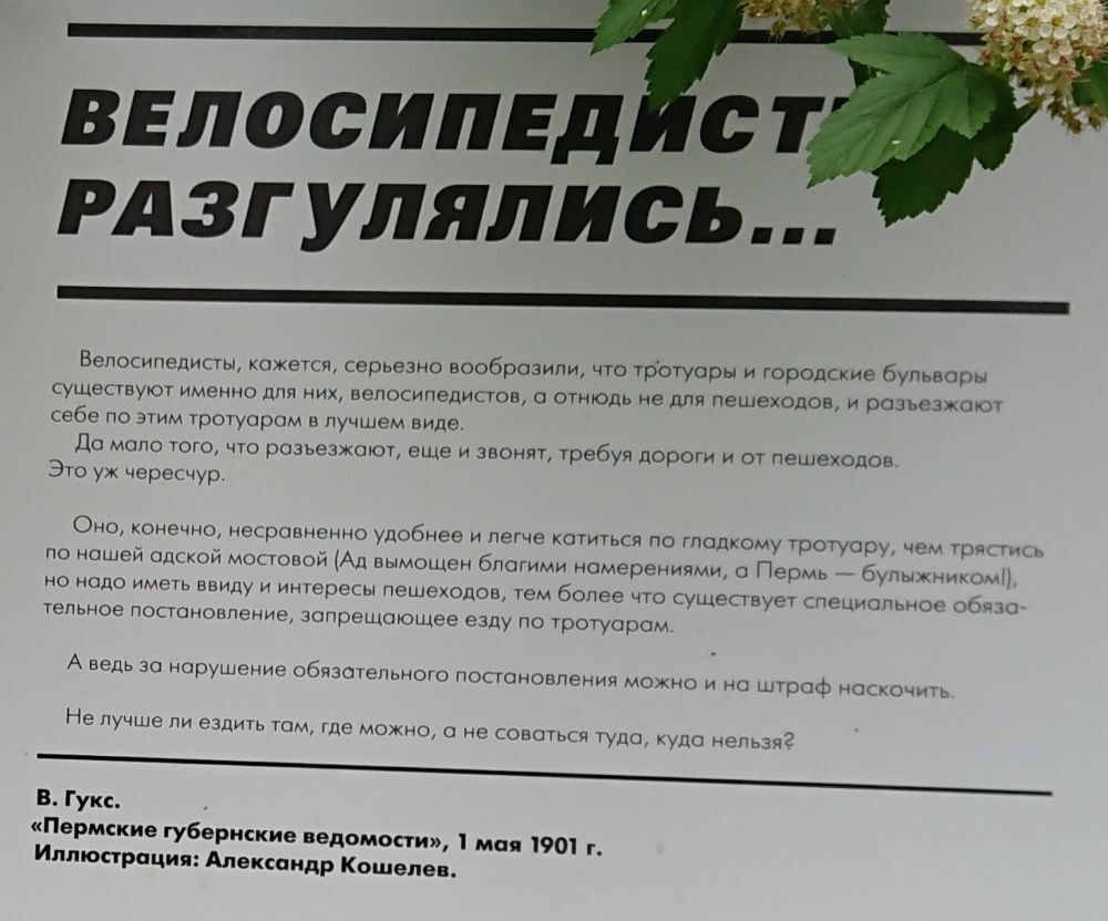222.JPG