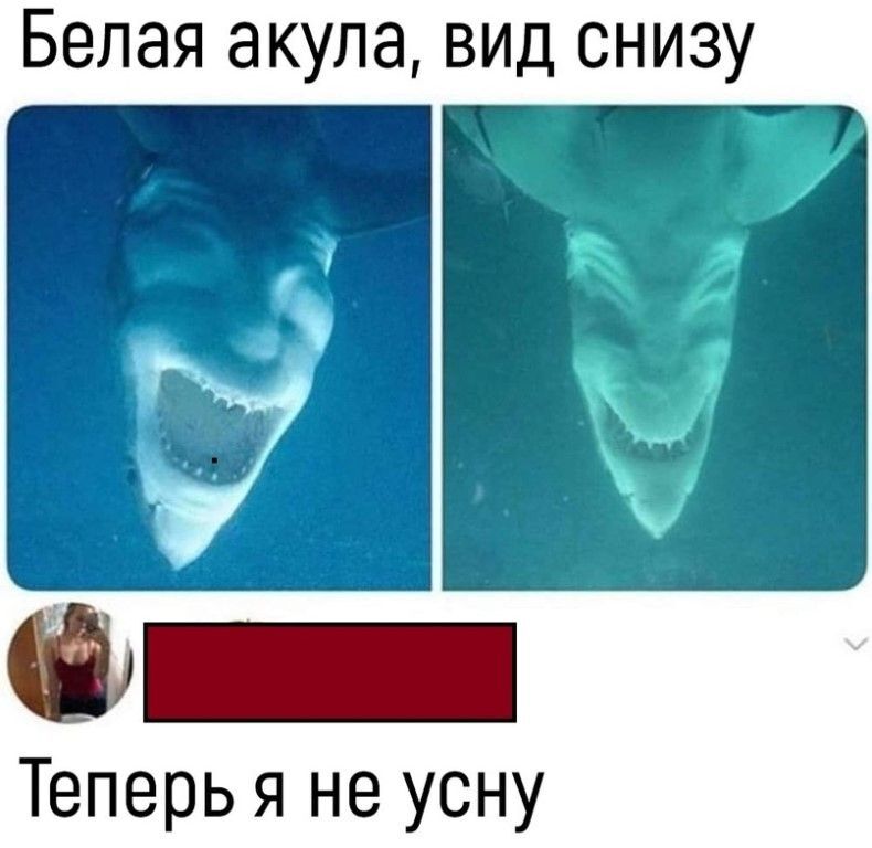 455308100__.jpeg.e11bba6b97ea71218895add80d933eab.jpeg