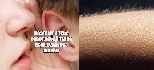 9aea2adff44855b77a2e441488e6162f.jpg