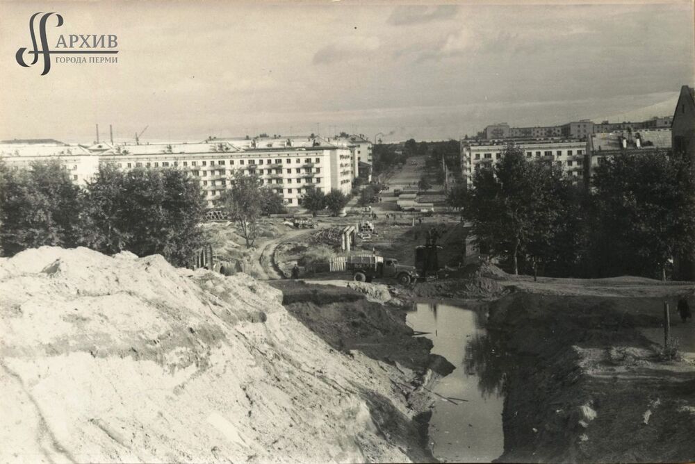 444.jpg