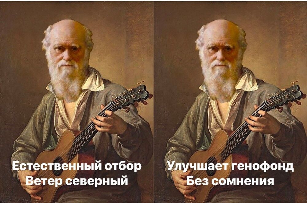 7cd81050a9a65a426898b0521369e70f.jpg