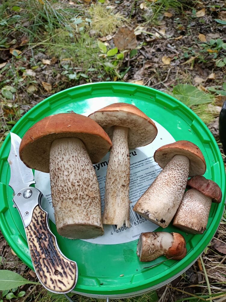 IMG20230905123848.jpg