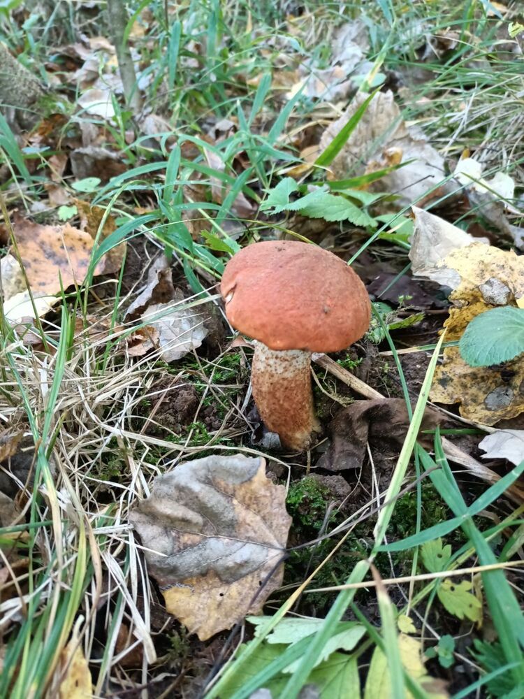 IMG20230912091223.jpg