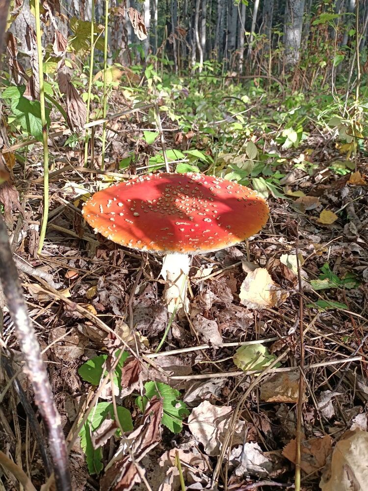 IMG20230912091857.jpg