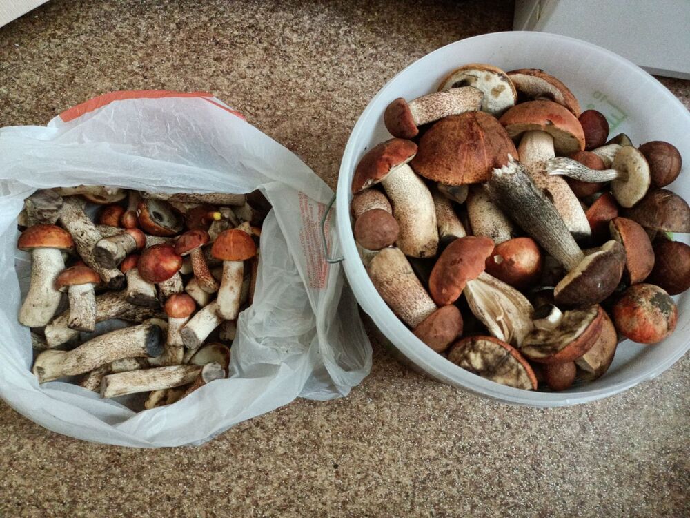 IMG20230912135639.jpg