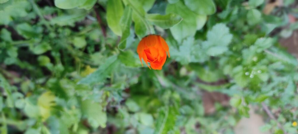 IMG_20230920_190333.jpg
