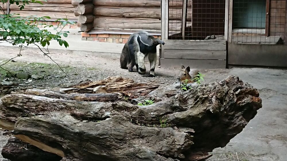 DSC_1366.JPG