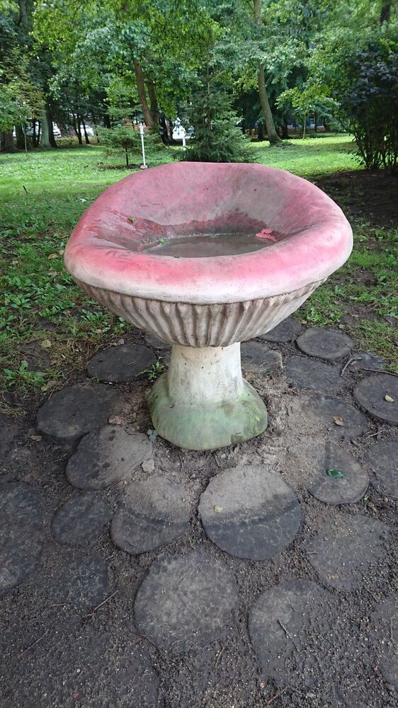 DSC_1976.JPG