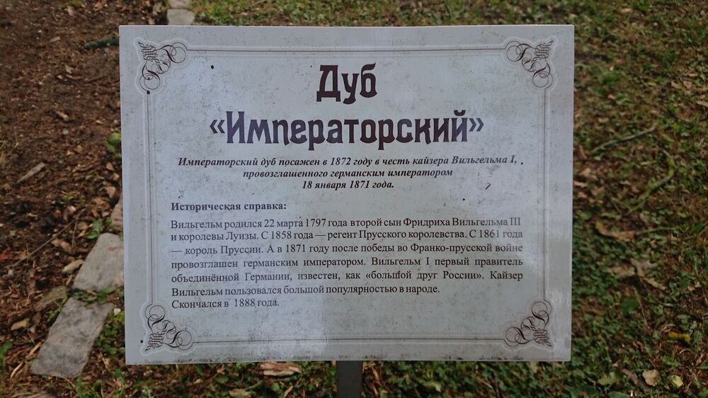 DSC_1979.JPG