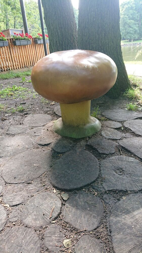 DSC_1986.JPG