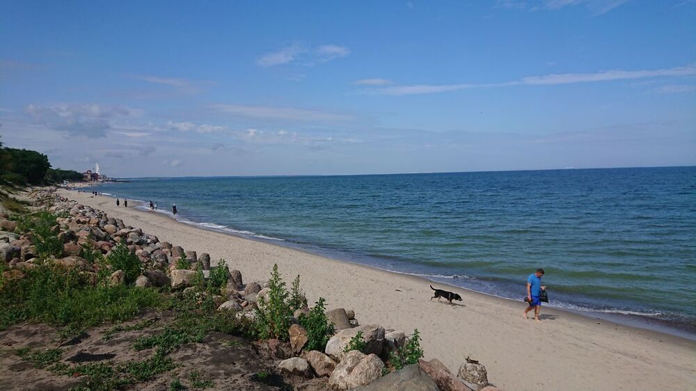 DSC_1990.JPG