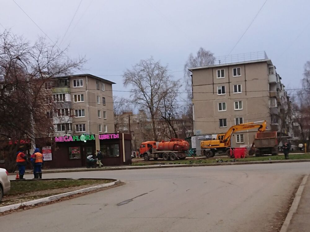 _20231105_132713.JPG