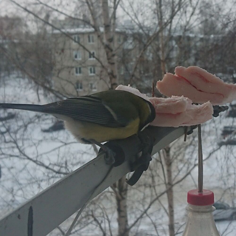 _20231125_094853.JPG