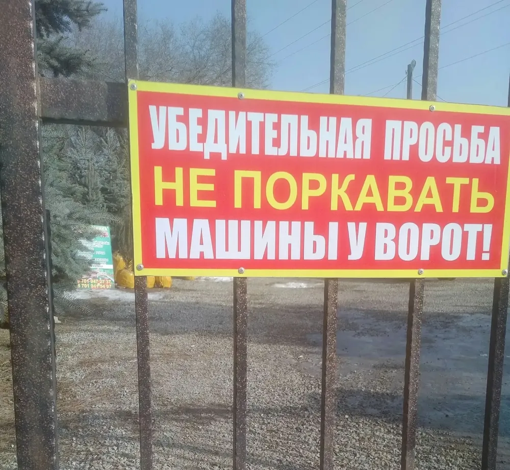 mU2N3kdgsXM.jpg