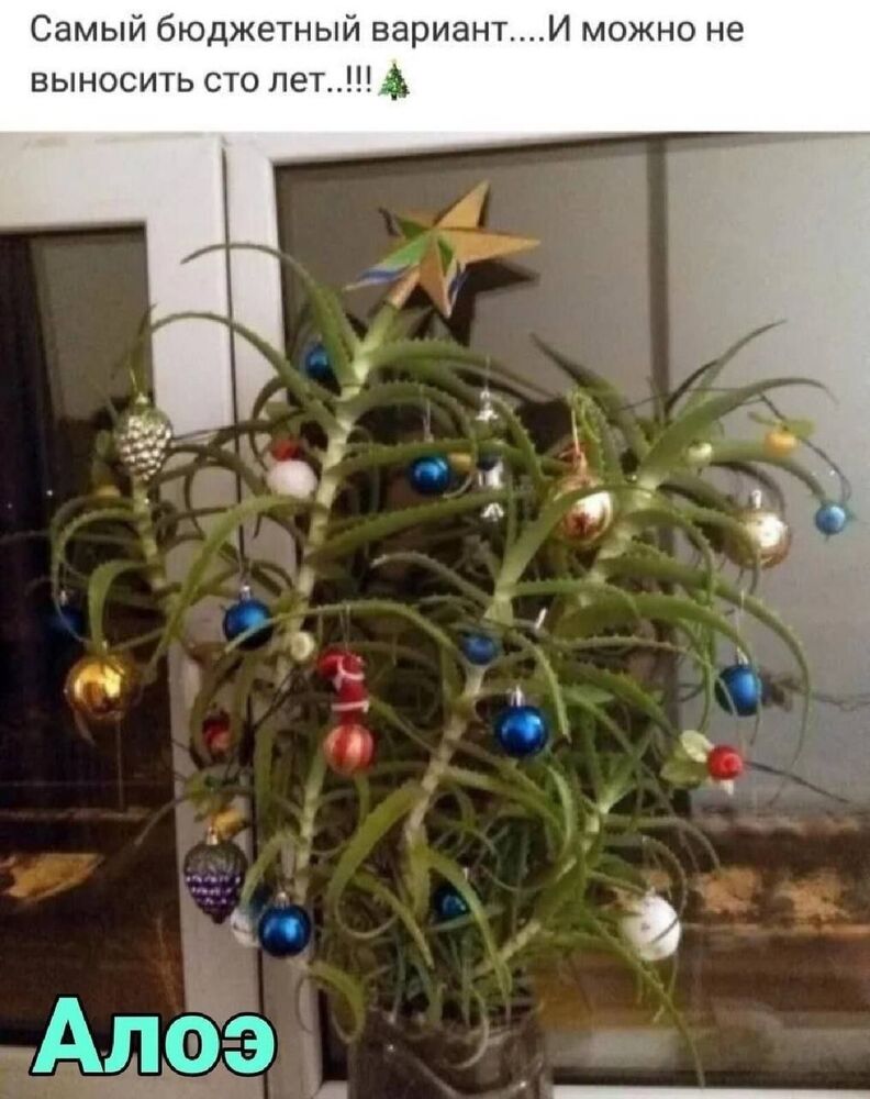 изображение_viber_2023-12-20_13-13-05-177.jpg