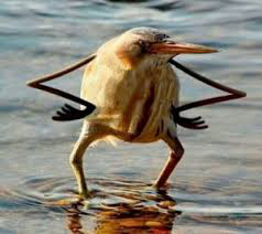 image.png.073bc228b0d5c3c54771903465efb9fd.png