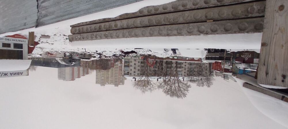 IMG_20240130_172651.jpg