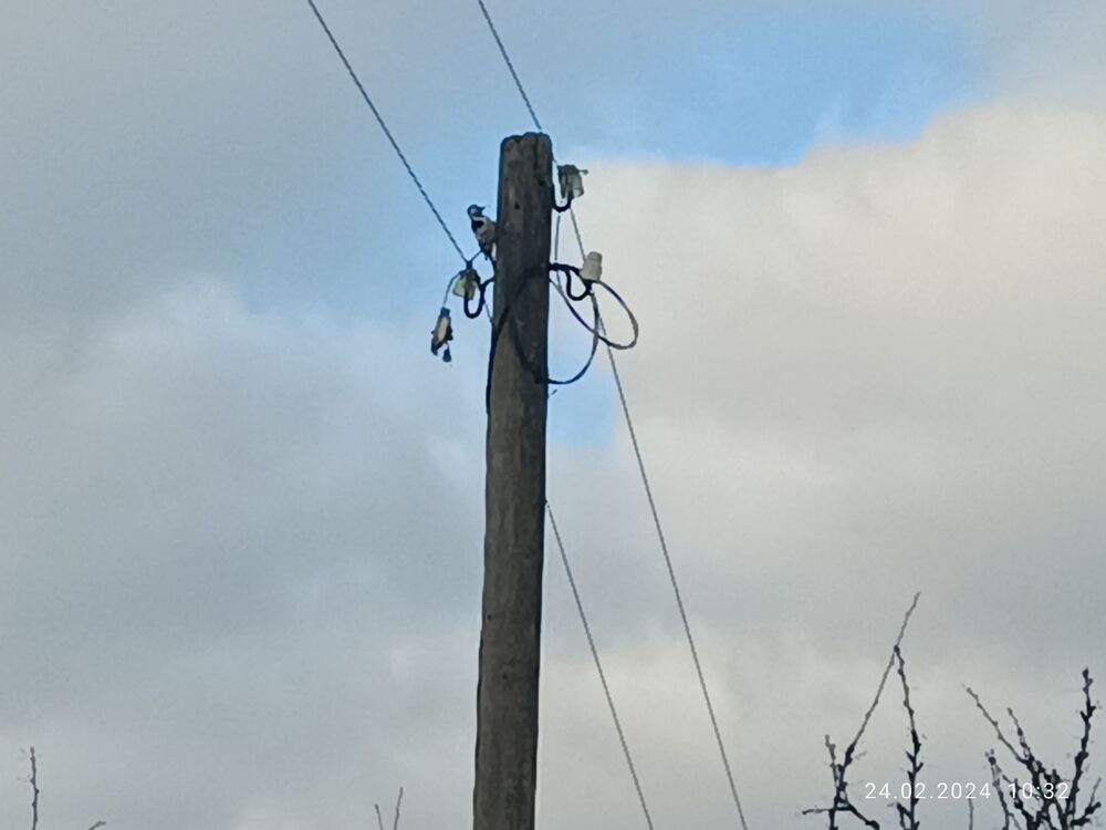 2024-02-24 10-32-57.JPG