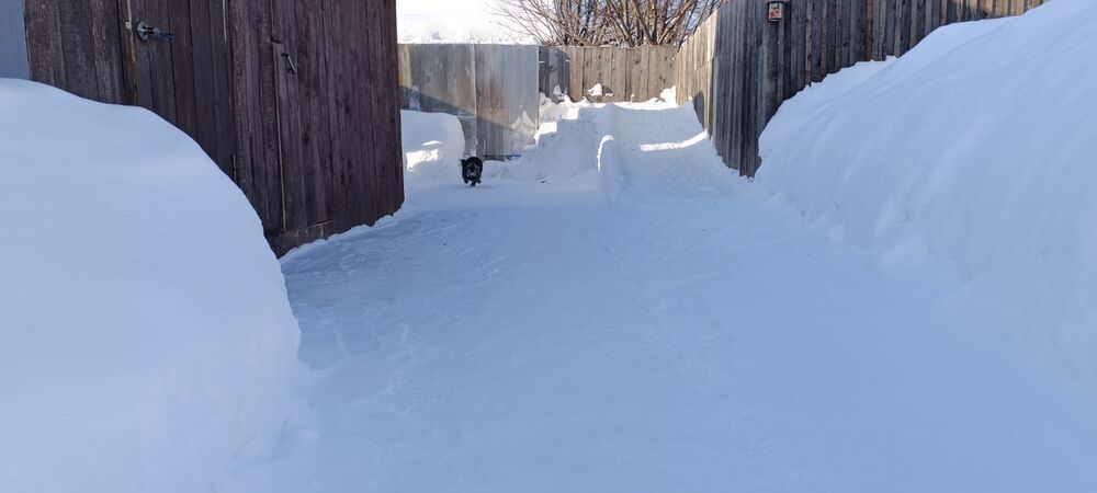 IMG_20240216_135700.jpg