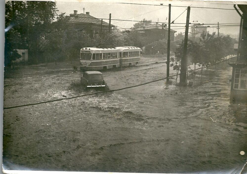 222.jpg