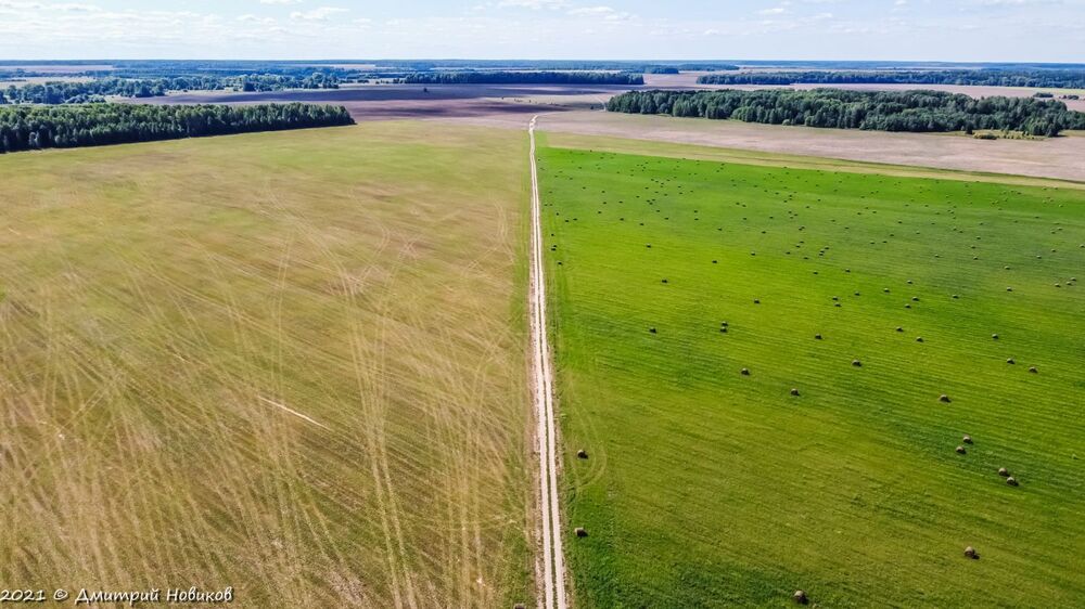 DJI_0541.JPG