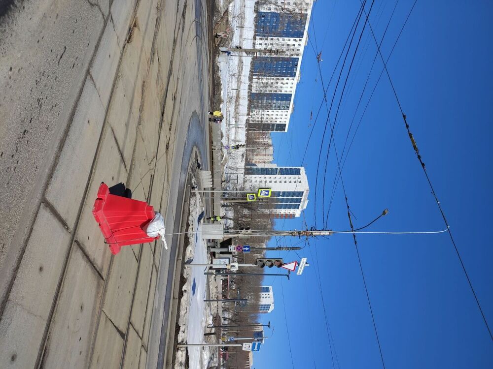 IMG_20240319_142623.jpg