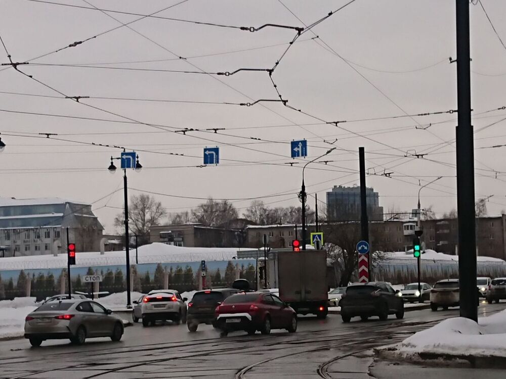 _20240301_172239.JPG