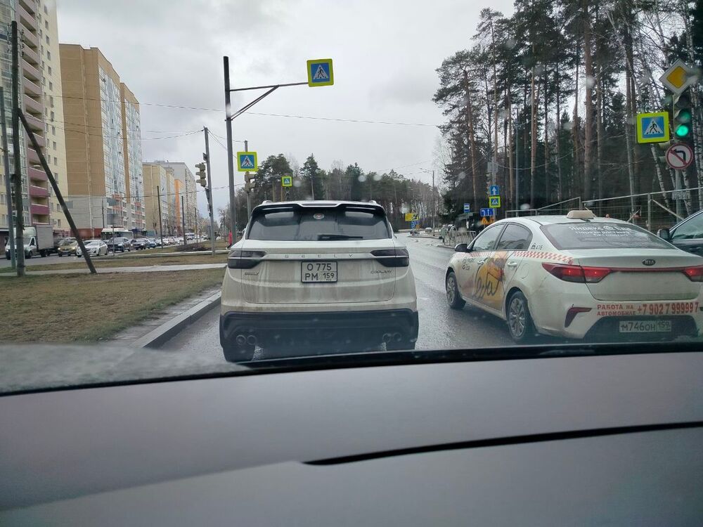 петушок.jpg