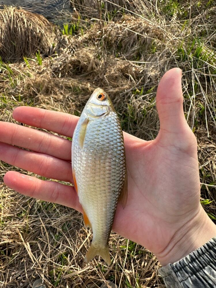 A5o4MahC1NA.jpg