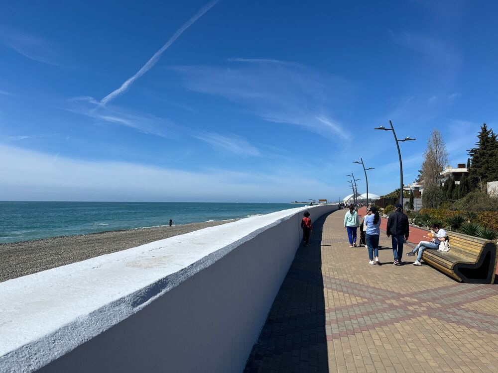 IMG_3824.jpeg