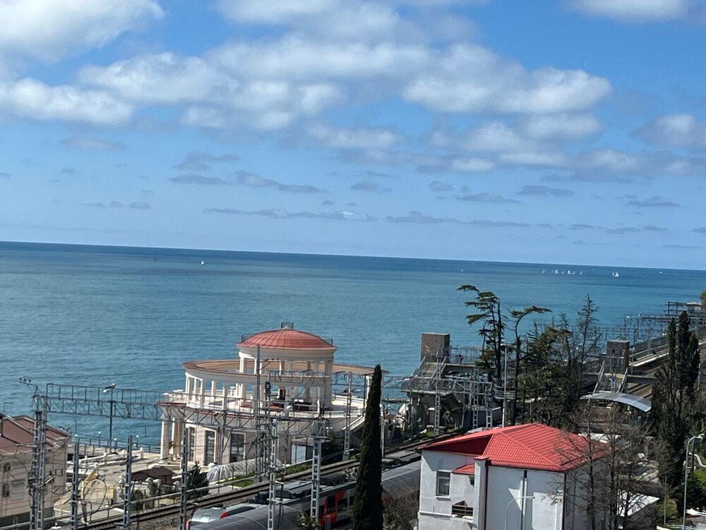 IMG_3906.jpeg