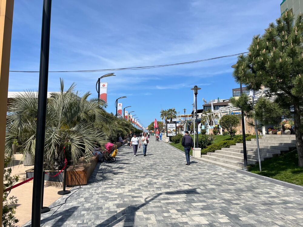 IMG_3971.jpeg