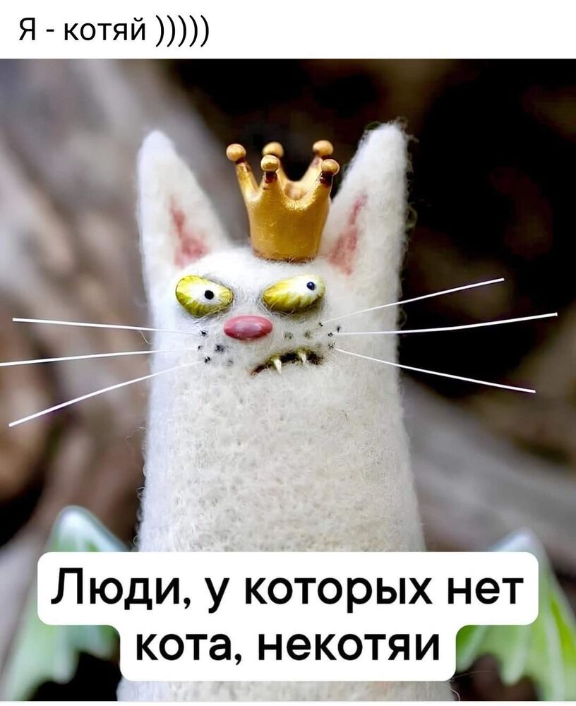 изображение_viber_2024-05-05_21-26-43-737.jpg