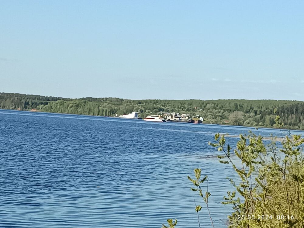 IMG_20240525_081600.jpg