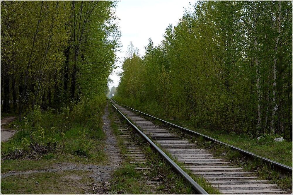 орпг897.jpg