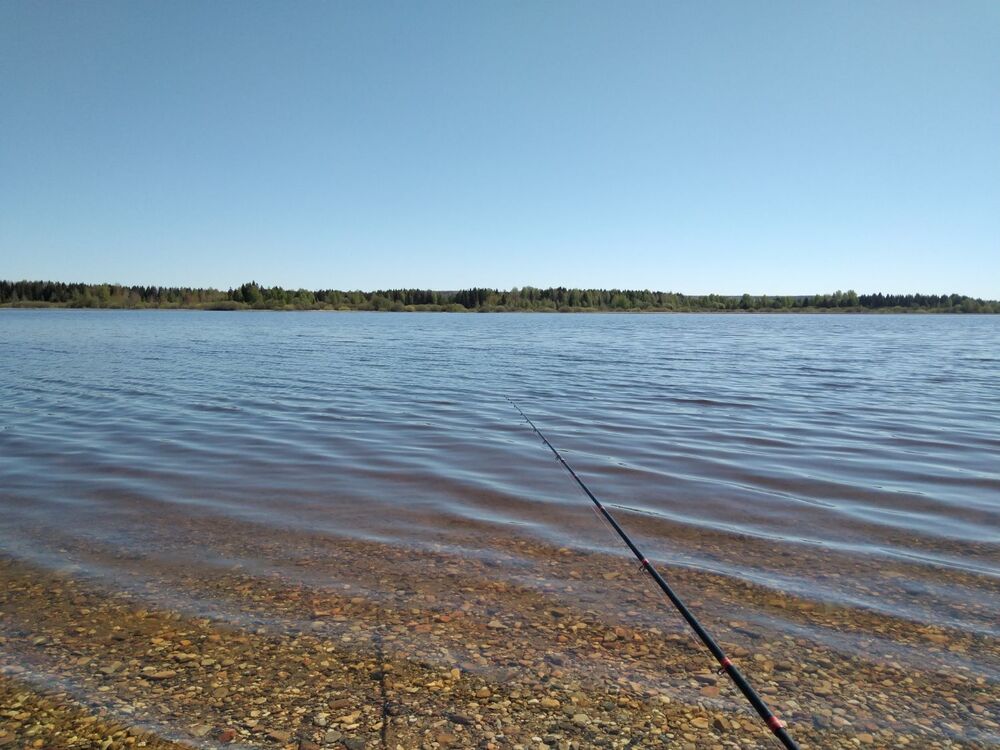 20240601_111325.jpg