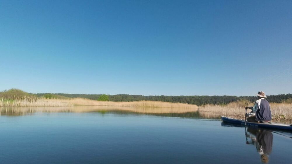 Кадр 20240416_230126 (00-01-55).jpg
