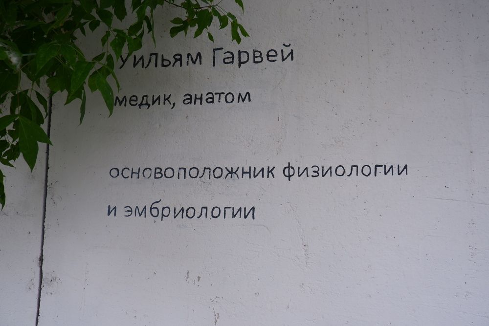 DSCF4150.JPG.318b4c81c043fbb5df34e4d81447e06f.JPG