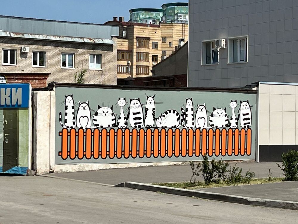 IMG_4081.jpeg