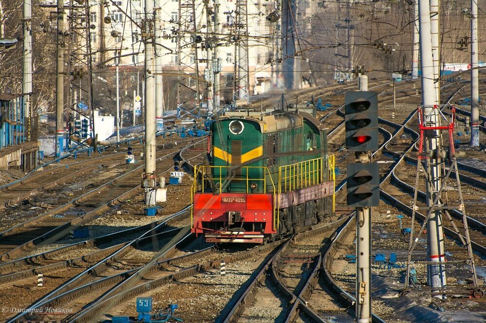 DSC_6901.jpg