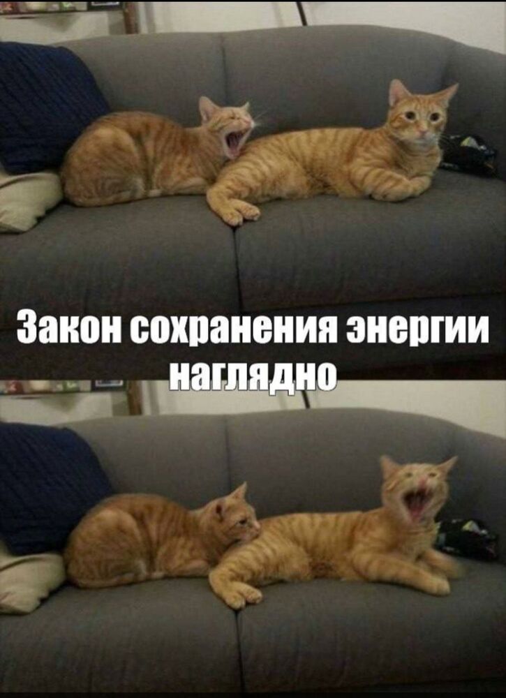 IMG_0802.jpeg.c09f21805f20fbb762e16937c17704b9.jpeg