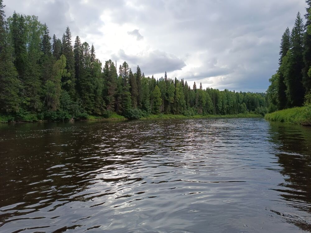 IMG_20240809_183736.jpg