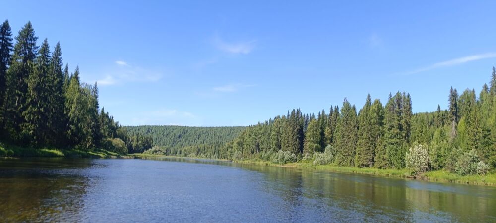 IMG_20240812_124237.jpg