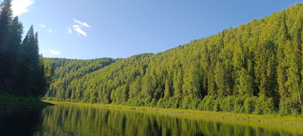 IMG_20240812_180832.jpg