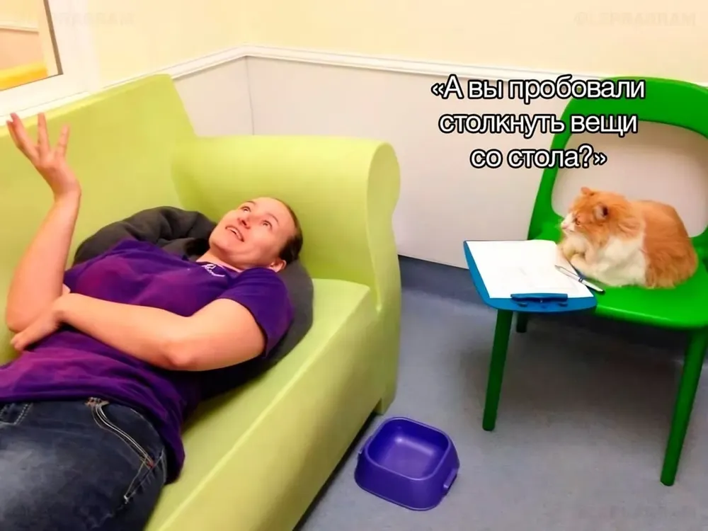 WwniwQi31xNlRPFIaCFFMDKSu66J-mYXxjPkwNro9JOBRCa_bSPMwjq470kdXkYtVgUomhynWk0Qw3nno23LFhez.jpg