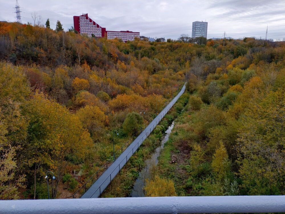 20240929_104150246.JPG
