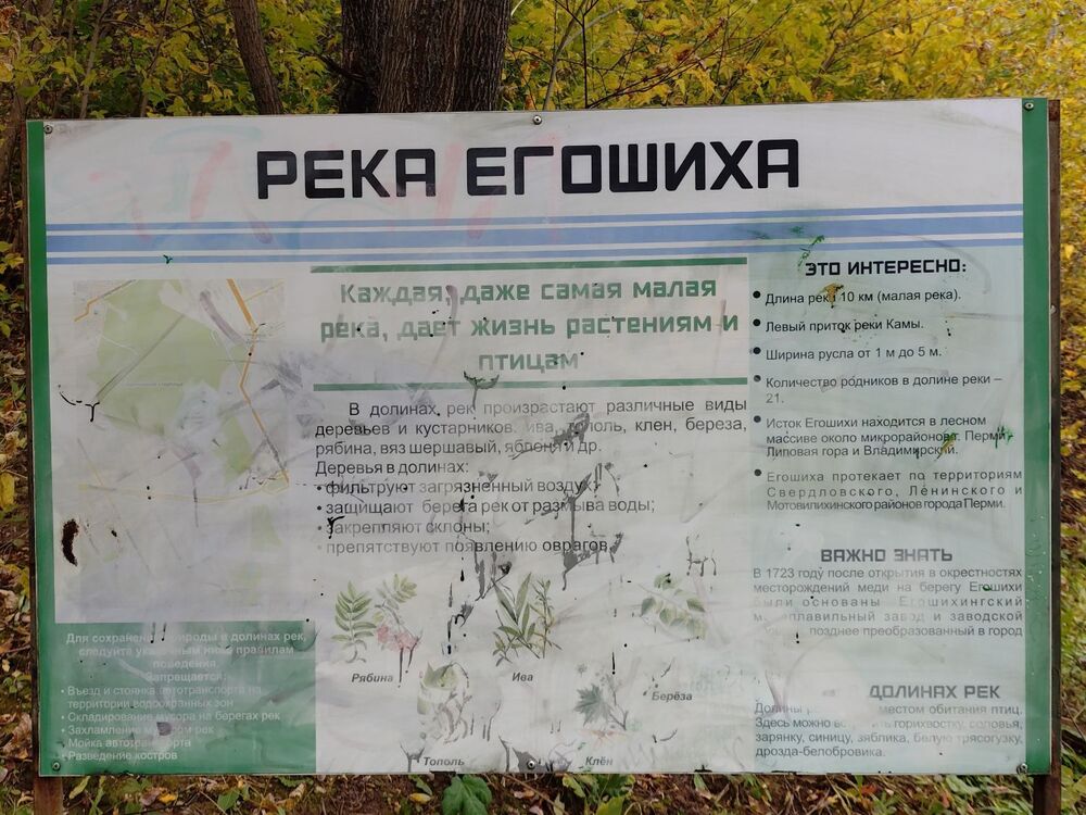 20240929_115934386.JPG