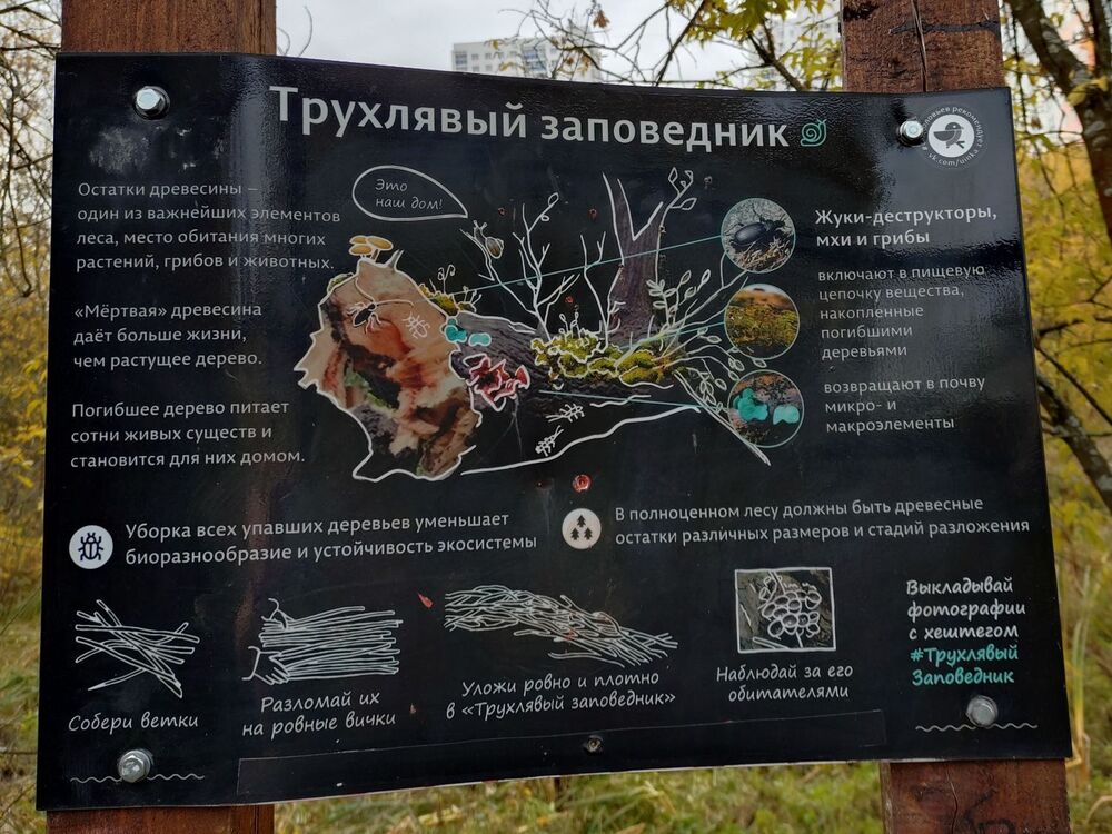 20240929_131955706.JPG