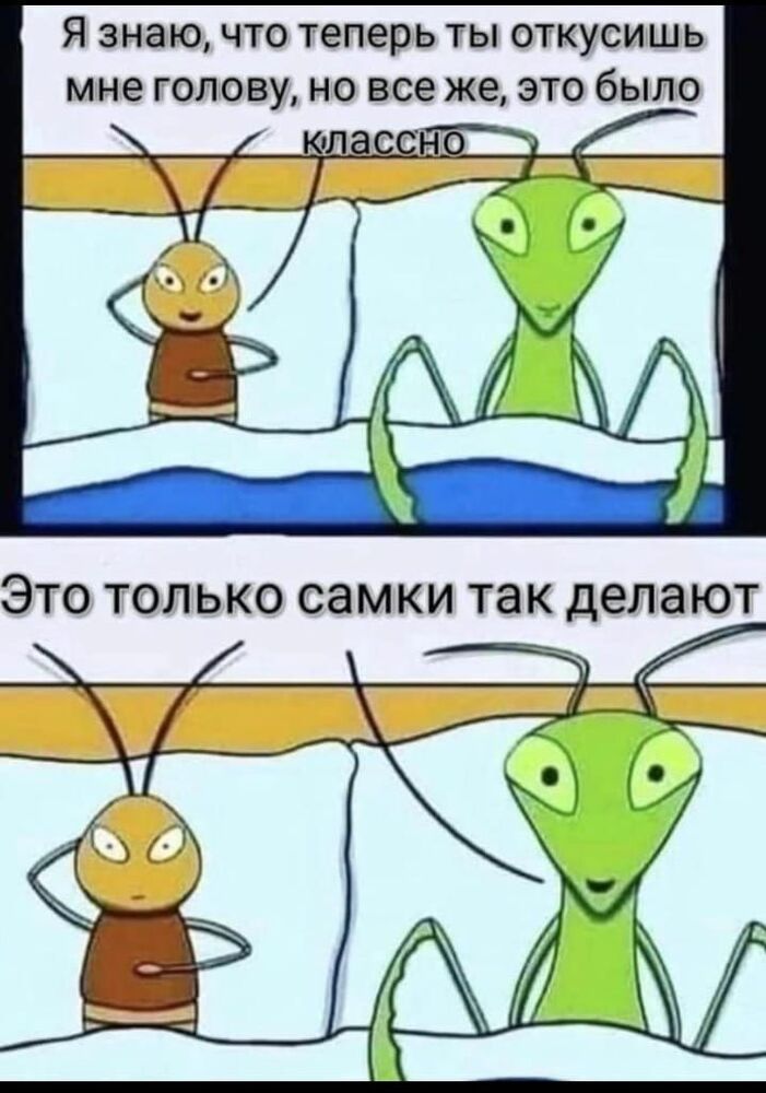 922382040_WhatsAppImage2024-09-18at07_46.13_5c6f9ee6.jpg.50534dc65f744ed357669329c3bd5940.jpg