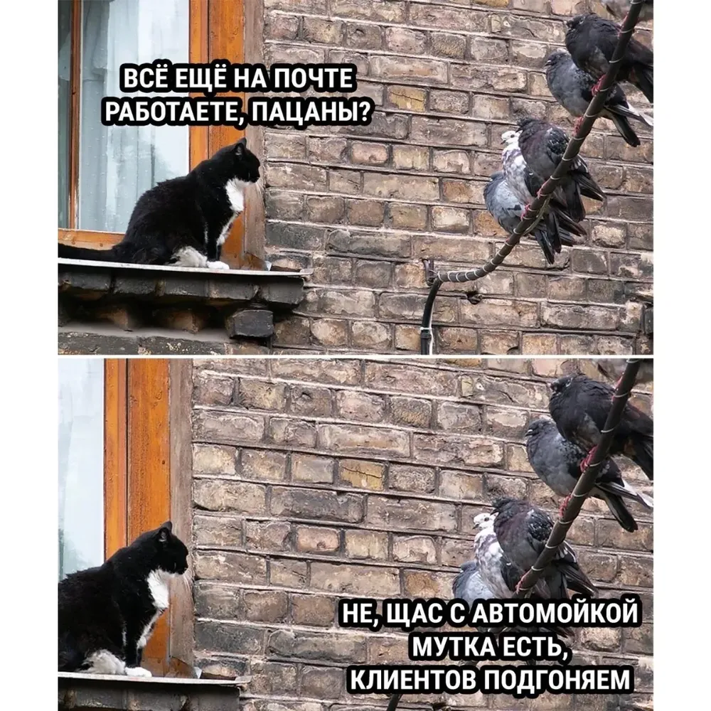 QJl0BVMOGs1zTeHR82TMvvS1EXUlfqF4rhx5AM-GrxTv4A0pZ2TTU6Ei6Job2omlhoyblhr8AdC9gTyOXd1xfcLM.jpg